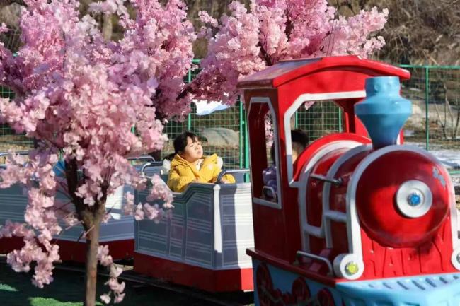 北京公园景区活动陪你跨年 85项活动迎新年